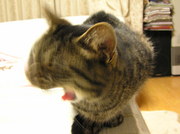 20070601-04.JPG