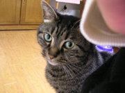 20070601-05.JPG