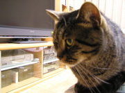 20070601-06.JPG