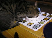 20070601-07.JPG