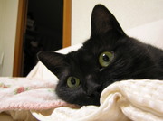 20070601-09.JPG