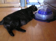 20070601-11.JPG