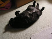 20070609-00.JPG