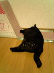 20070611-03.jpg