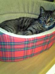 20070611-04.jpg