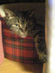 20070611-05.jpg