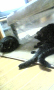 20070724-01.jpg