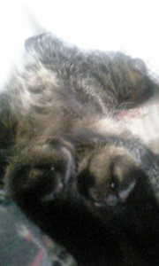 20070724-02.jpg