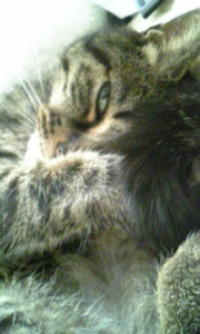 20070724-04.jpg