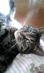 20070724-05.jpg