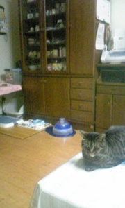 20070730-02.jpg