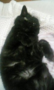 20070730-04.jpg