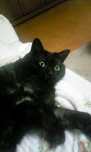 20070730-05.jpg