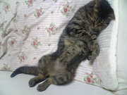 20070822-03.jpg