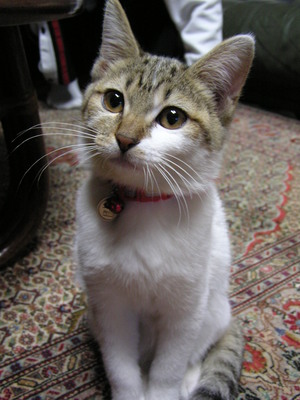 20070825-00.JPG