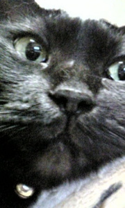 20071021-01.jpg