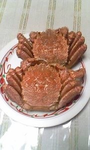 20071021-02.jpg