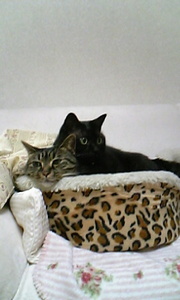 20071024-02.jpg