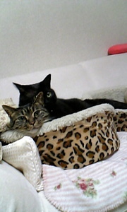 20071024-03.jpg
