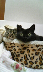 20071024-05.jpg