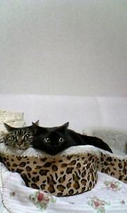 20071024-06.jpg