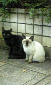 20071101-00.jpg
