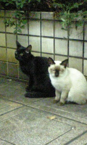 20071101-01.jpg