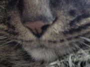20071123-01.jpg