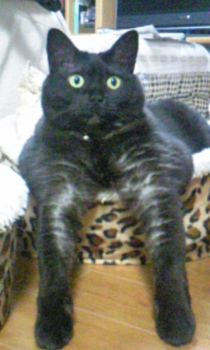 20080214-00.jpg