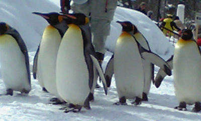20080308-00.jpg