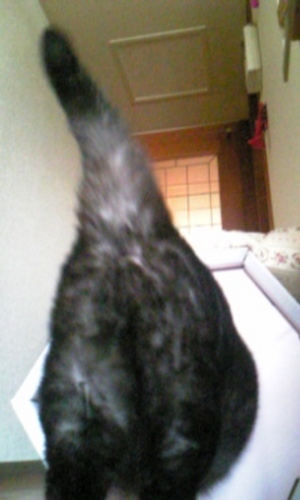 20080308-06.jpg