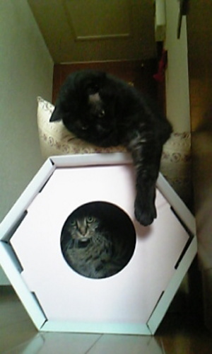 20080308-08.jpg