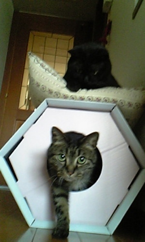 20080308-09.jpg