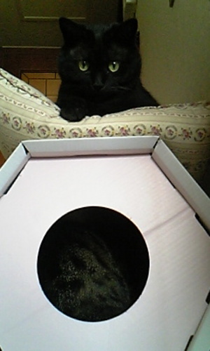 20080319-08.jpg