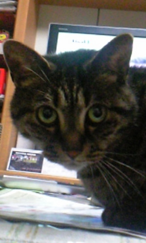 20080328-00.jpg