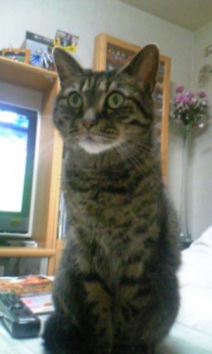 20080328-03.jpg