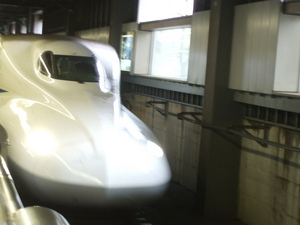 20080423-11.JPG