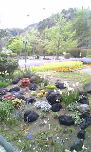 20080424-00.jpg