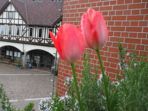 20080424-04.JPG