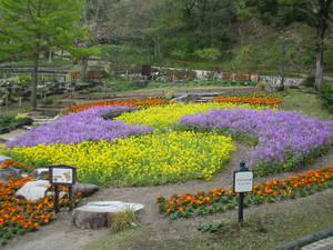20080424-09.JPG