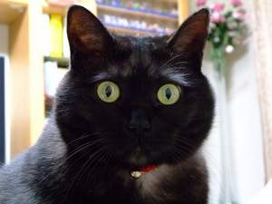 20080521-03.JPG