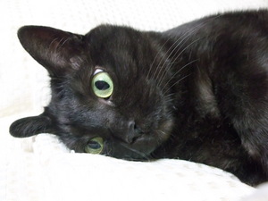 20080521-06.JPG