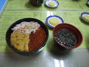 20080527-02.JPG