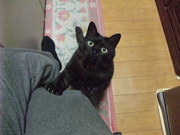 20080527-04.JPG