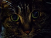 20080527-05.JPG