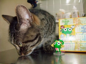 20080529-02.JPG