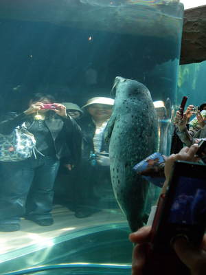 20080616-01.JPG