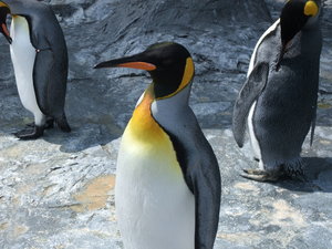 20080616-02.JPG