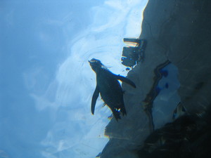20080616-03.JPG