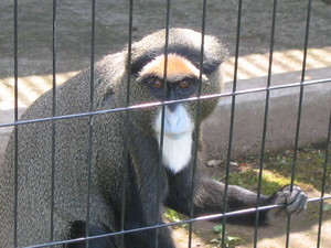 20080616-05.JPG